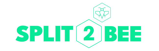 Split2Bee - Tokenizando el mundo real.
